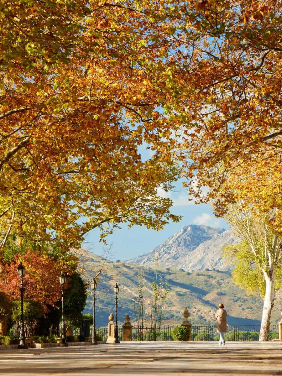 Alameda del Tajo, Ronda Alameda del Tajo, Ronda