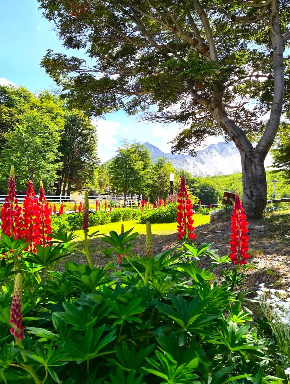 Avenida Alem, Ushuaia Avenida Alem, Ushuaia