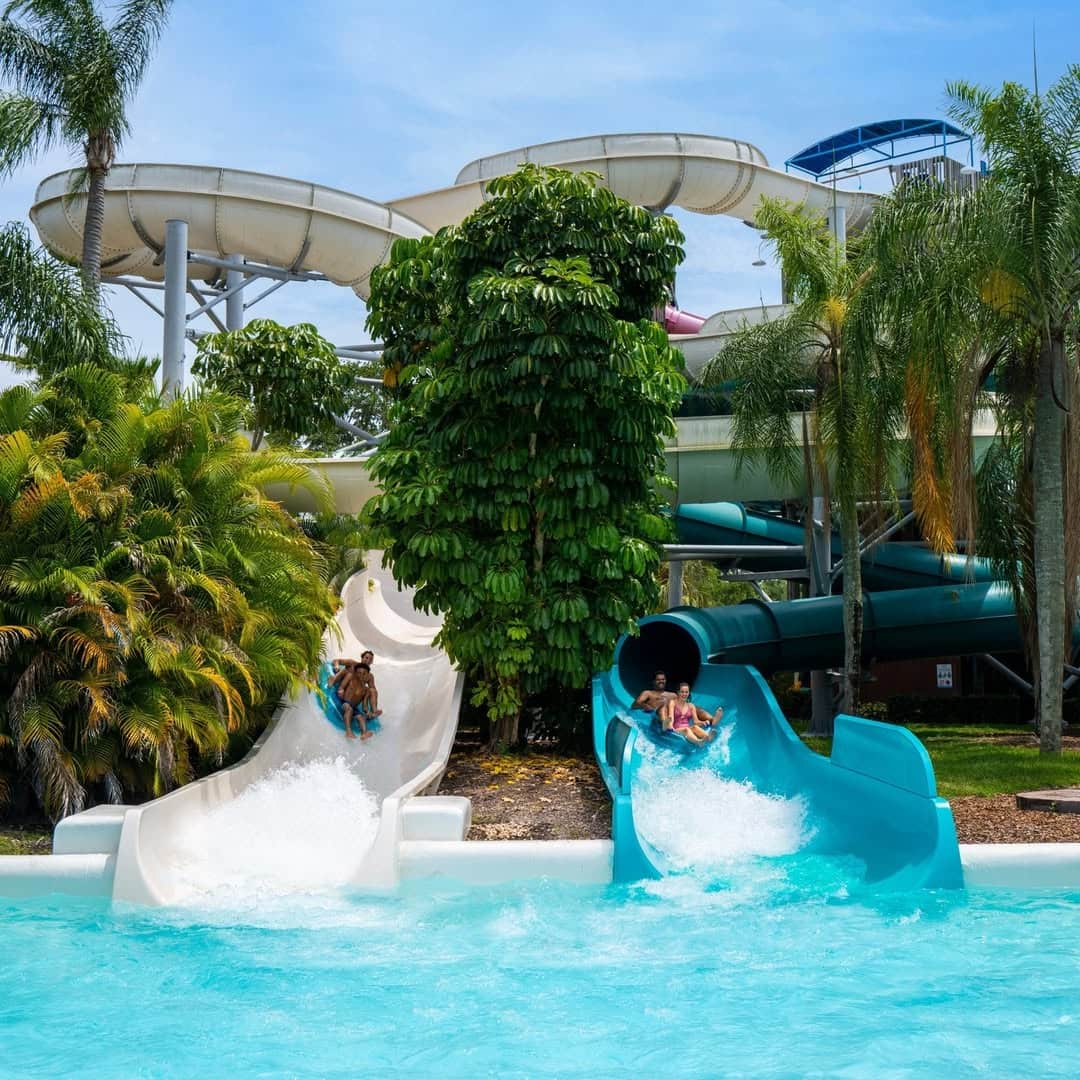 Busch Gardens, Tampa Busch Gardens, Tampa