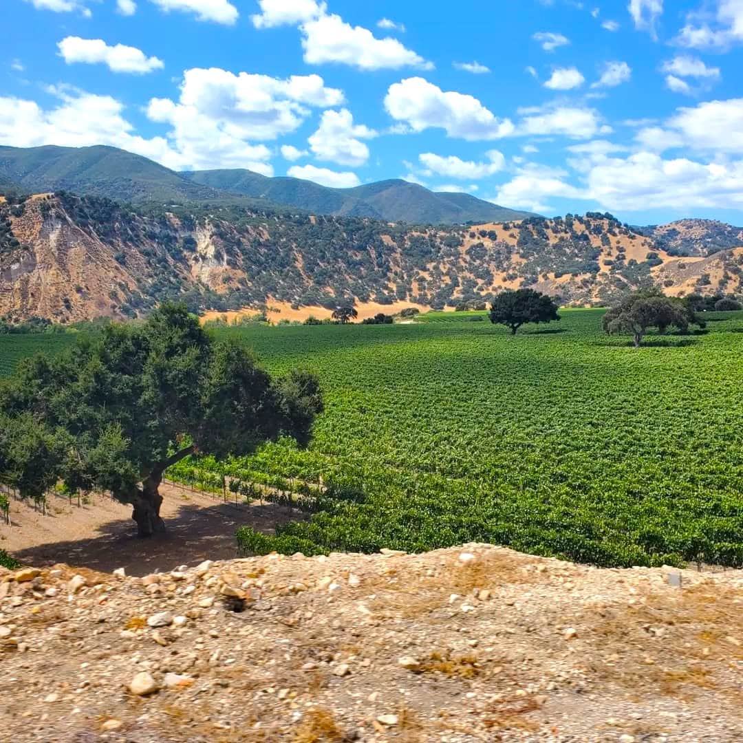 Carmel Valley Carmel Valley