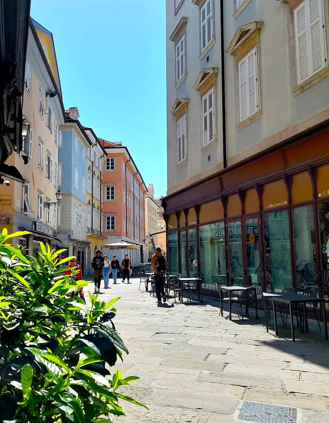 Cavana, Trieste Cavana, Trieste