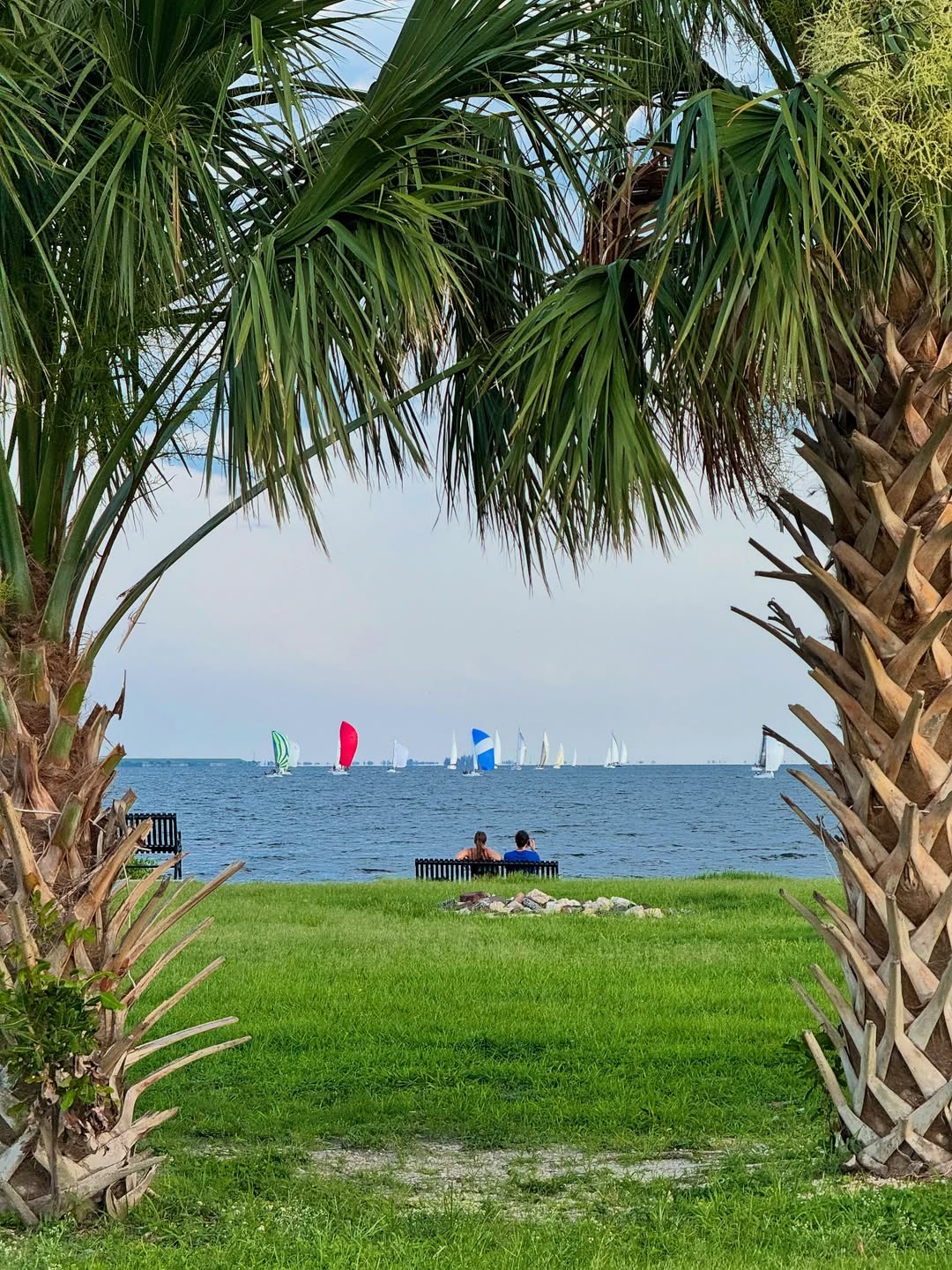 Davis Islands, Tampa Davis Islands, Tampa