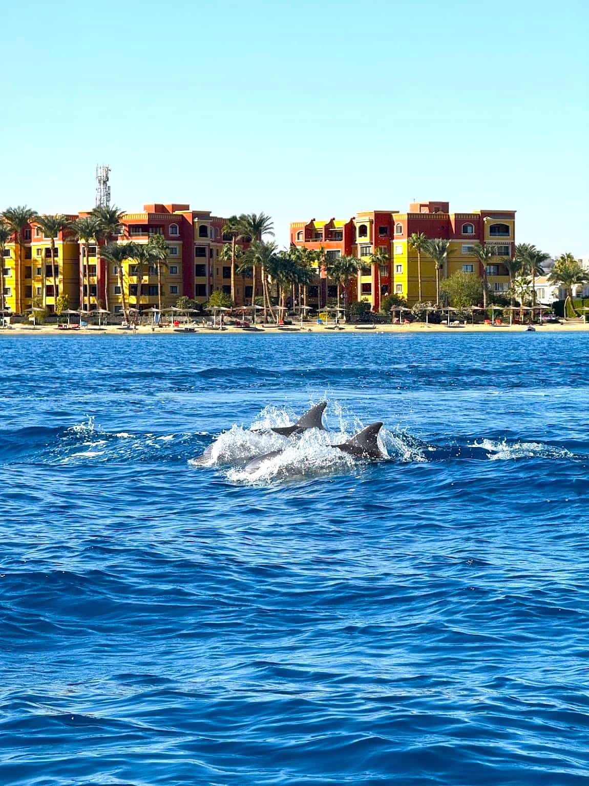 Hurghada City Center (Sakkala) Hurghada City Center (Sakkala)