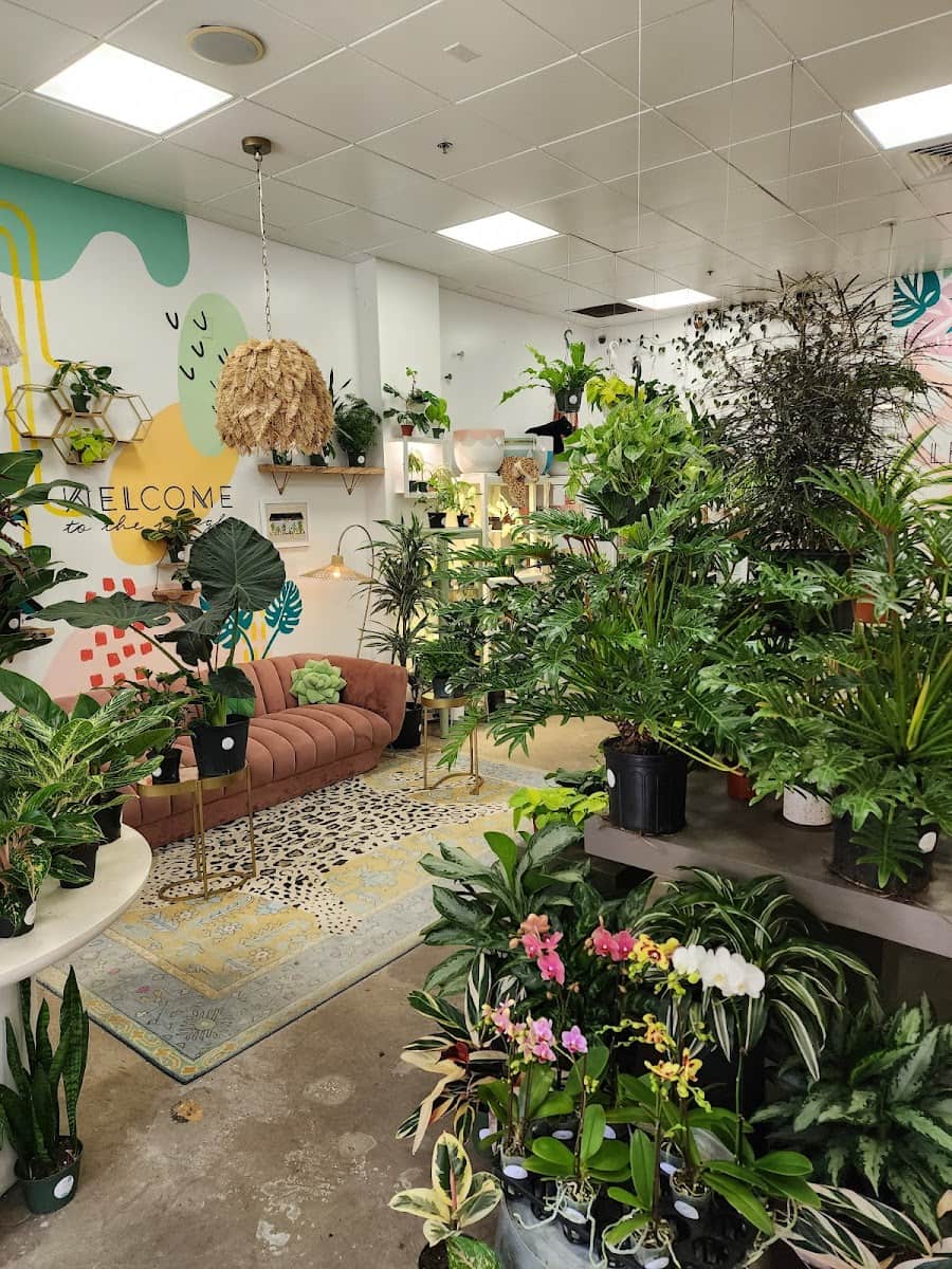 Hyde Park Village Center, Tampa Hyde Park Village Center, Tampa