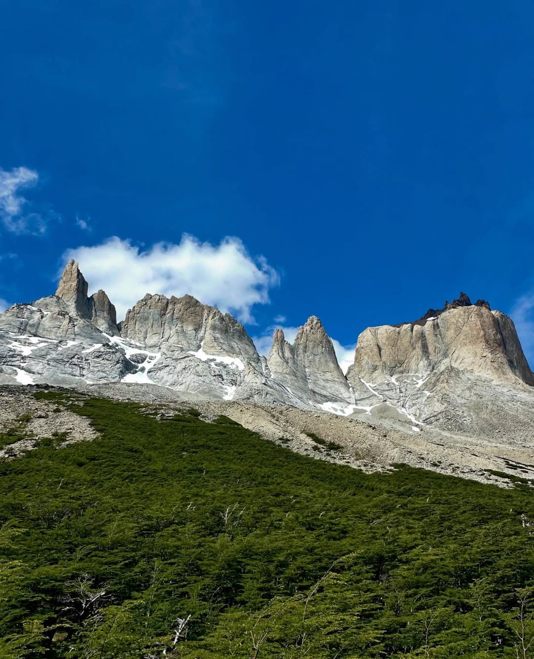 Inside Torres del Paine National Park Inside Torres del Paine National Park