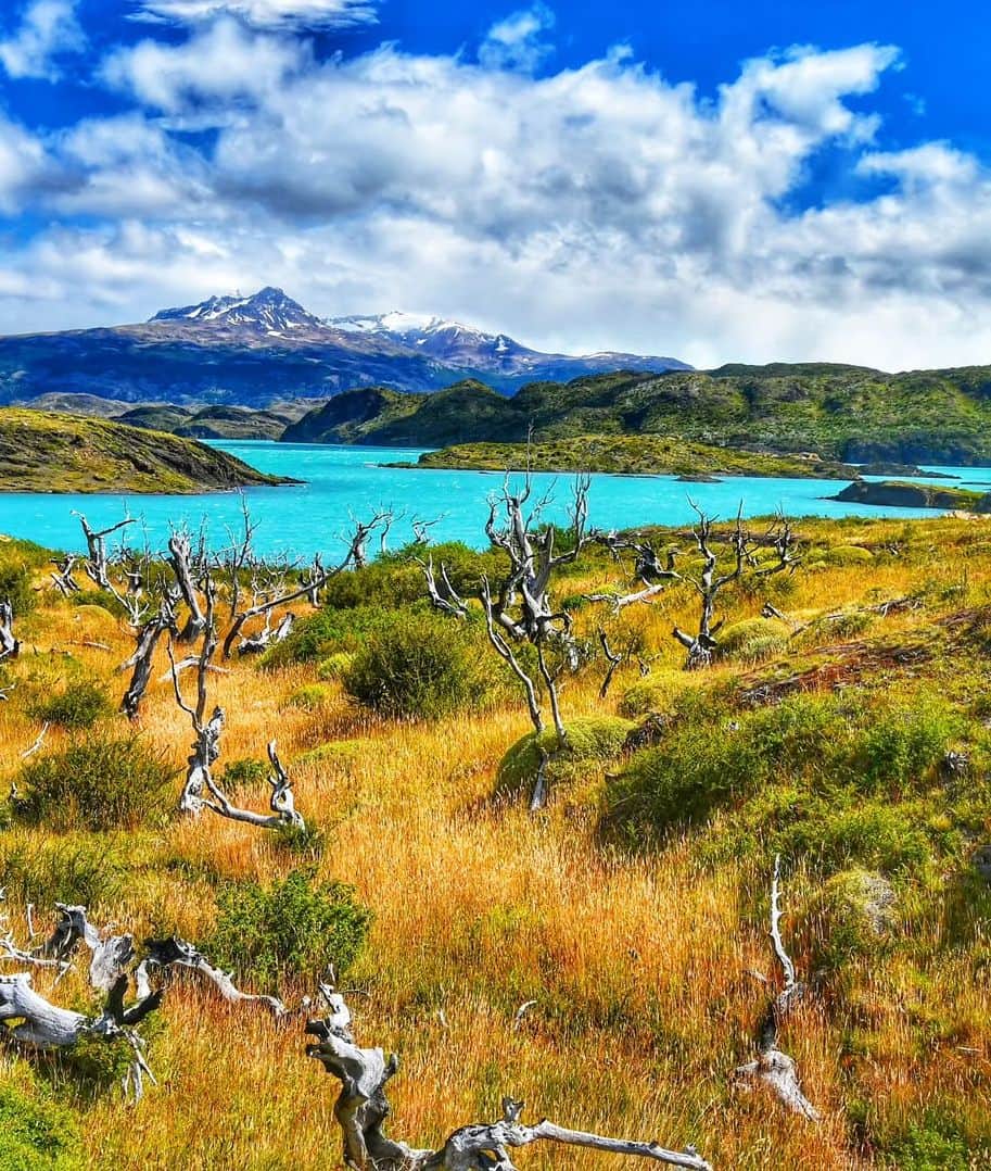 Inside Torres del Paine National Park Inside Torres del Paine National Park