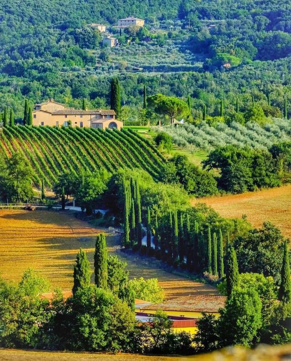 Istrice District, Siena Istrice District, Siena