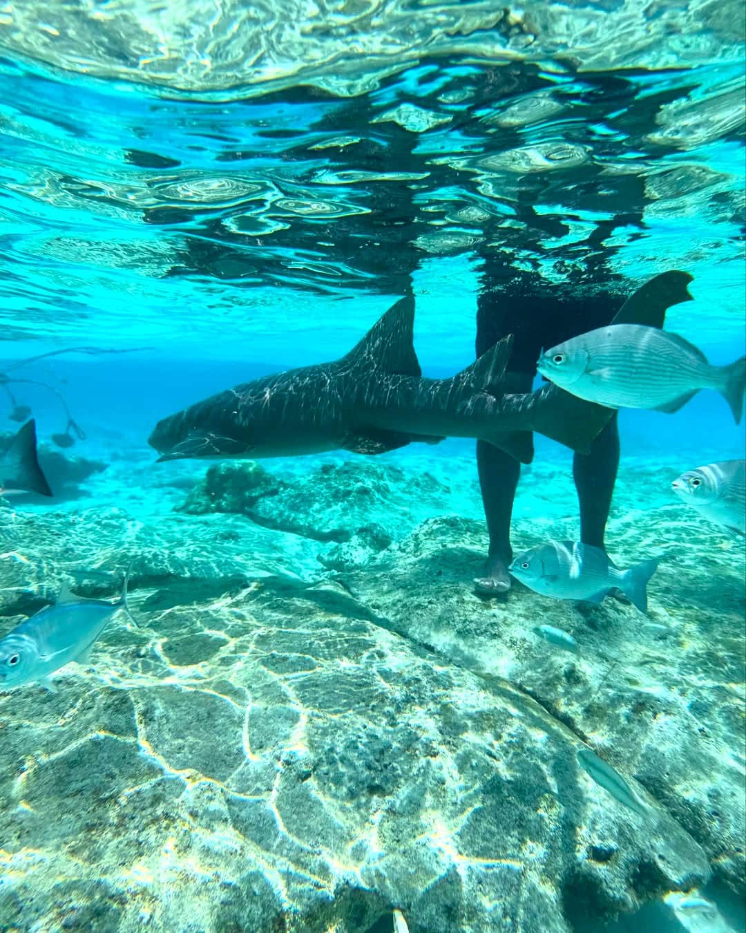 La Loma San Andres La Loma San Andres