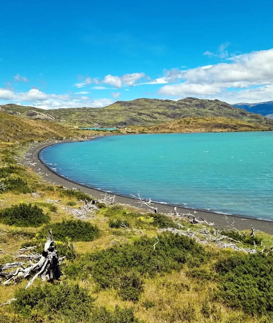 Lago Grey Area, Torres del Paine Lago Grey Area, Torres del Paine