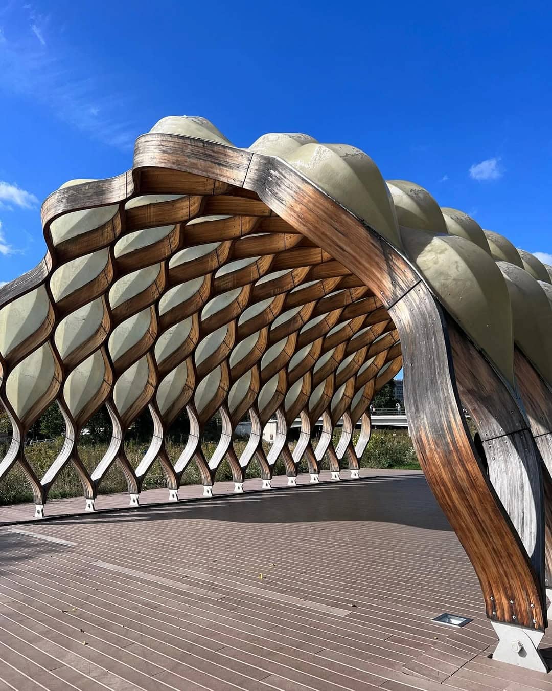 Lincoln Park, Chicago Lincoln Park, Chicago