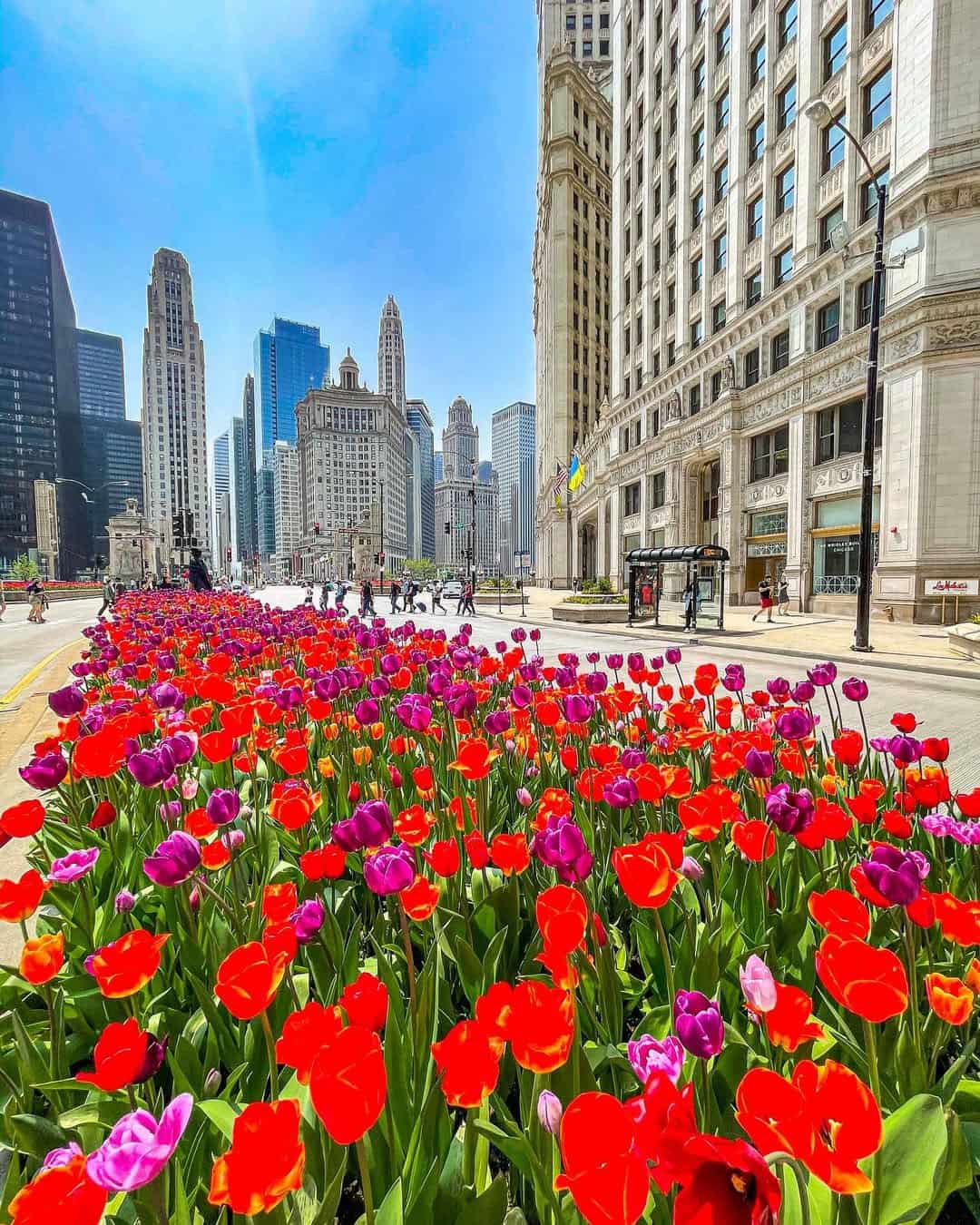 Magnificent Mile, Chicago Magnificent Mile, Chicago