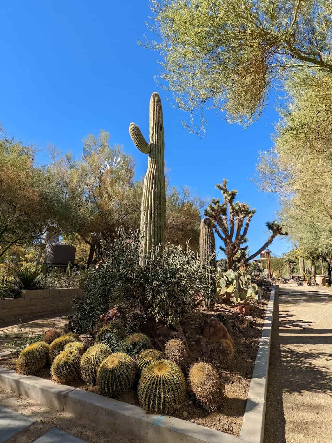 Off Strip Las Vegas Off Strip Las Vegas