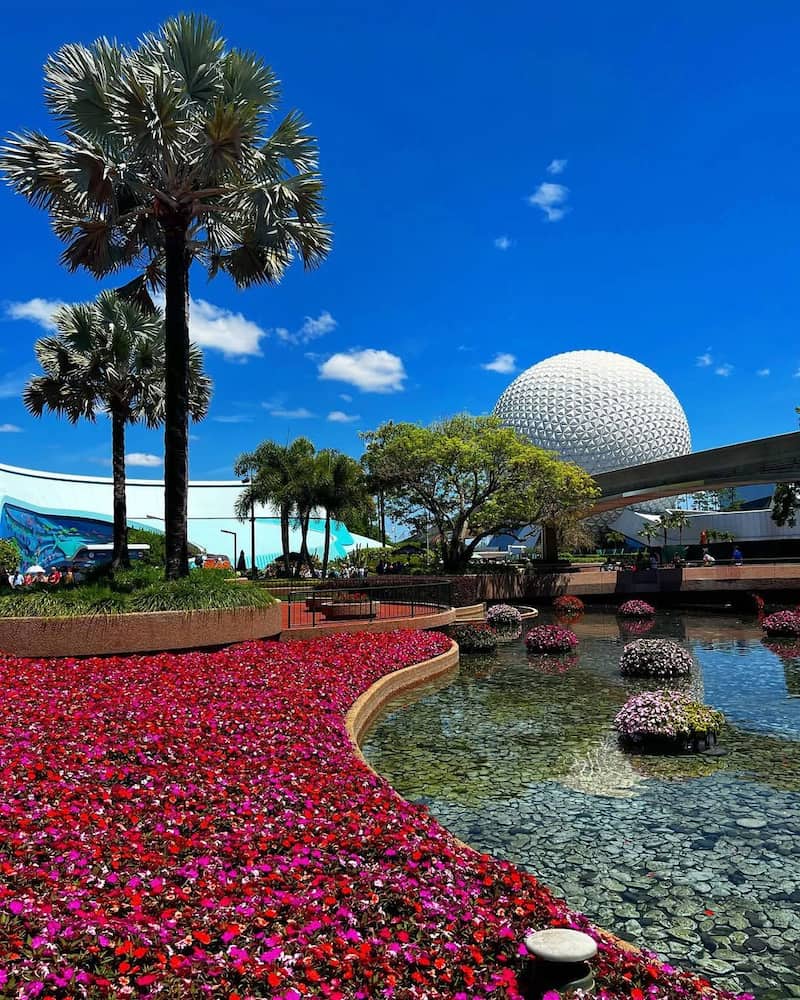 Disney World Area, Orlando Disney World Area, Orlando