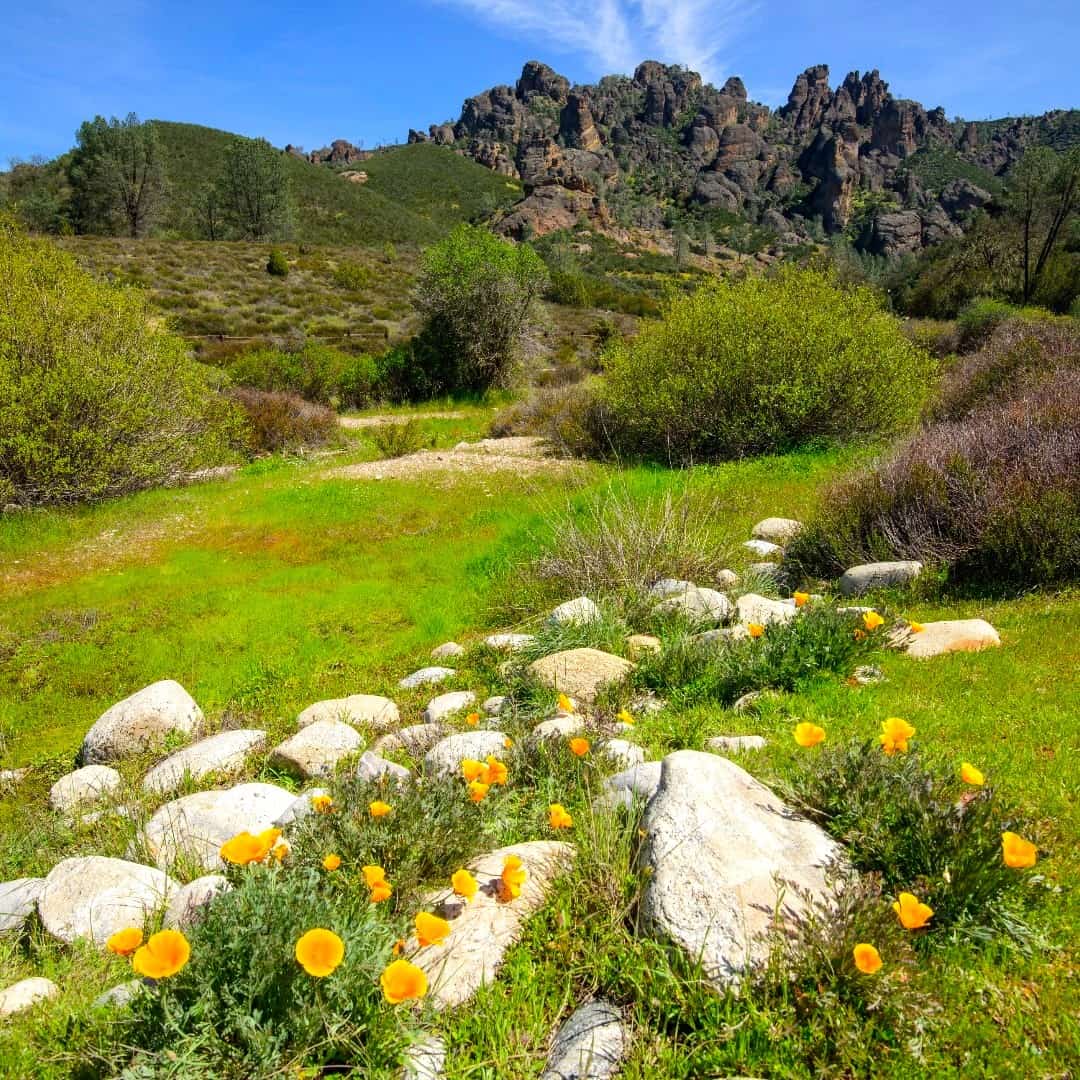 Pacific Grove Pacific Grove