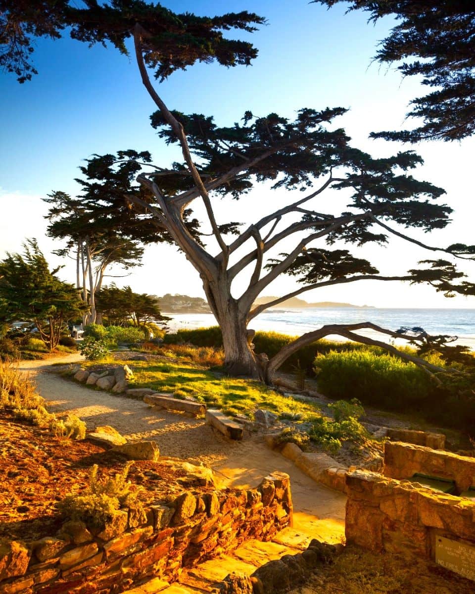 Pebble Beach Pebble Beach 1