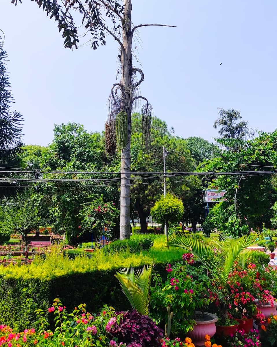 Ratna Park, Kathmandu Ratna Park, Kathmandu
