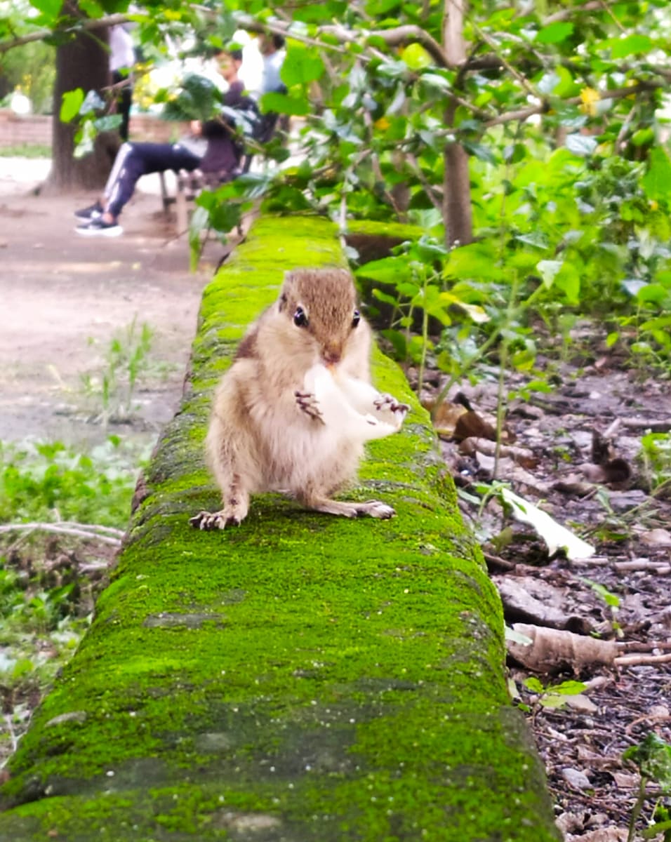 Ratna Park, Kathmandu Ratna Park, Kathmandu