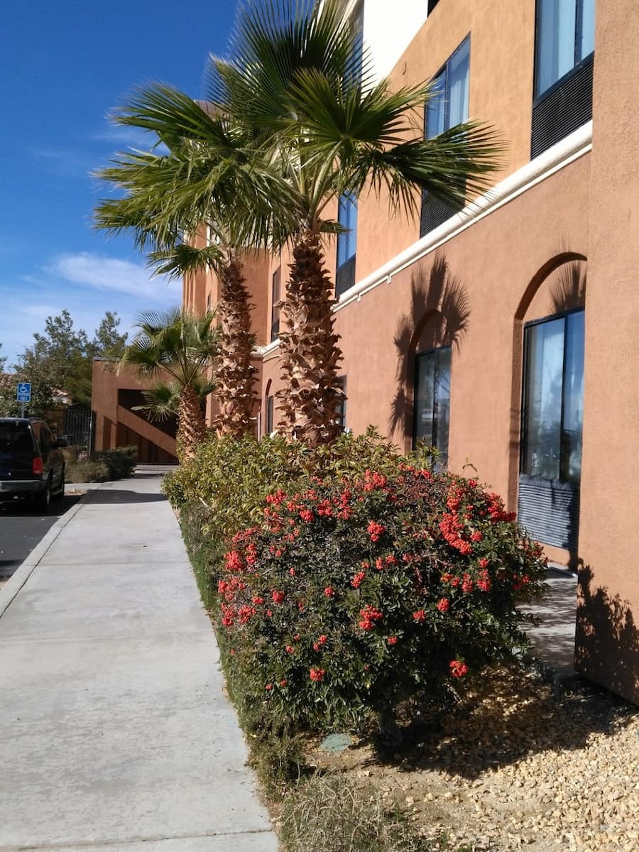 Ridgecrest, California, Death Valley National Park Ridgecrest, California, Death Valley National Park