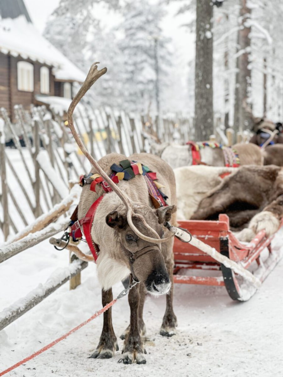 Santa Claus Village, Lapland, Finland Santa Claus Village, Lapland, Finland