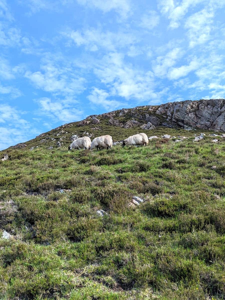 Sleat Peninsula, Isle of Skye Sleat Peninsula, Isle of Skye