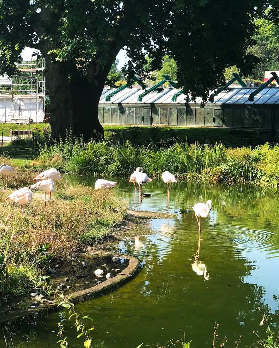 Stuttgart Wilhelma Zoo, Germany Stuttgart Wilhelma Zoo, Germany