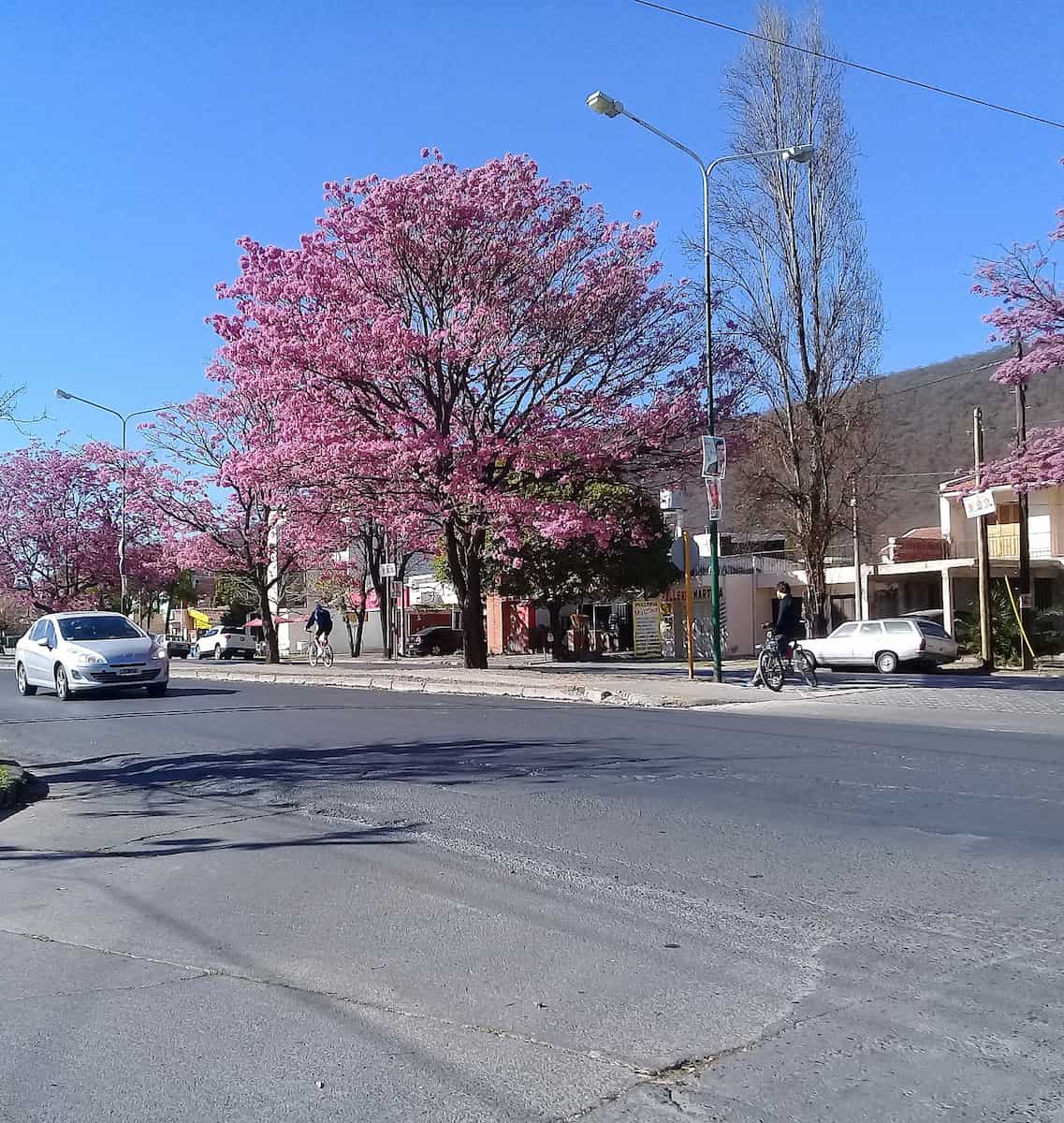 Tres Cerritos, Salta Tres Cerritos, Salta