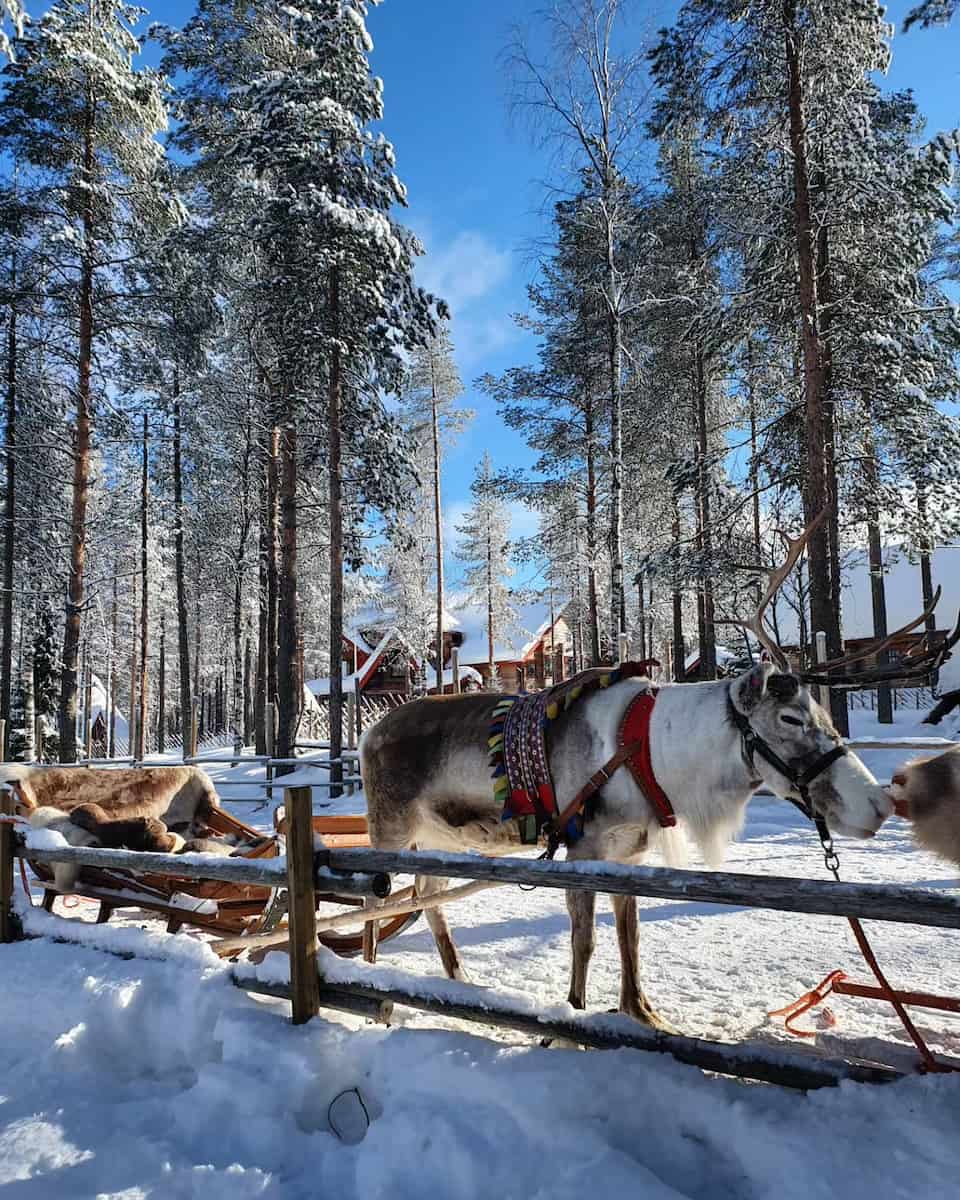 Wilderness Areas, Rovaniemi Wilderness Areas, Rovaniemi