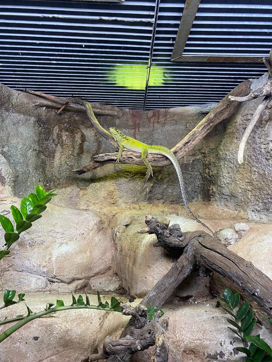 Aquarium River of Zaragoza, Zaragoza Aquarium River of Zaragoza, Zaragoza