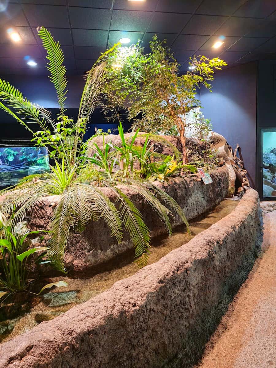 Aquarium River of Zaragoza, Zaragoza Aquarium River of Zaragoza, Zaragoza