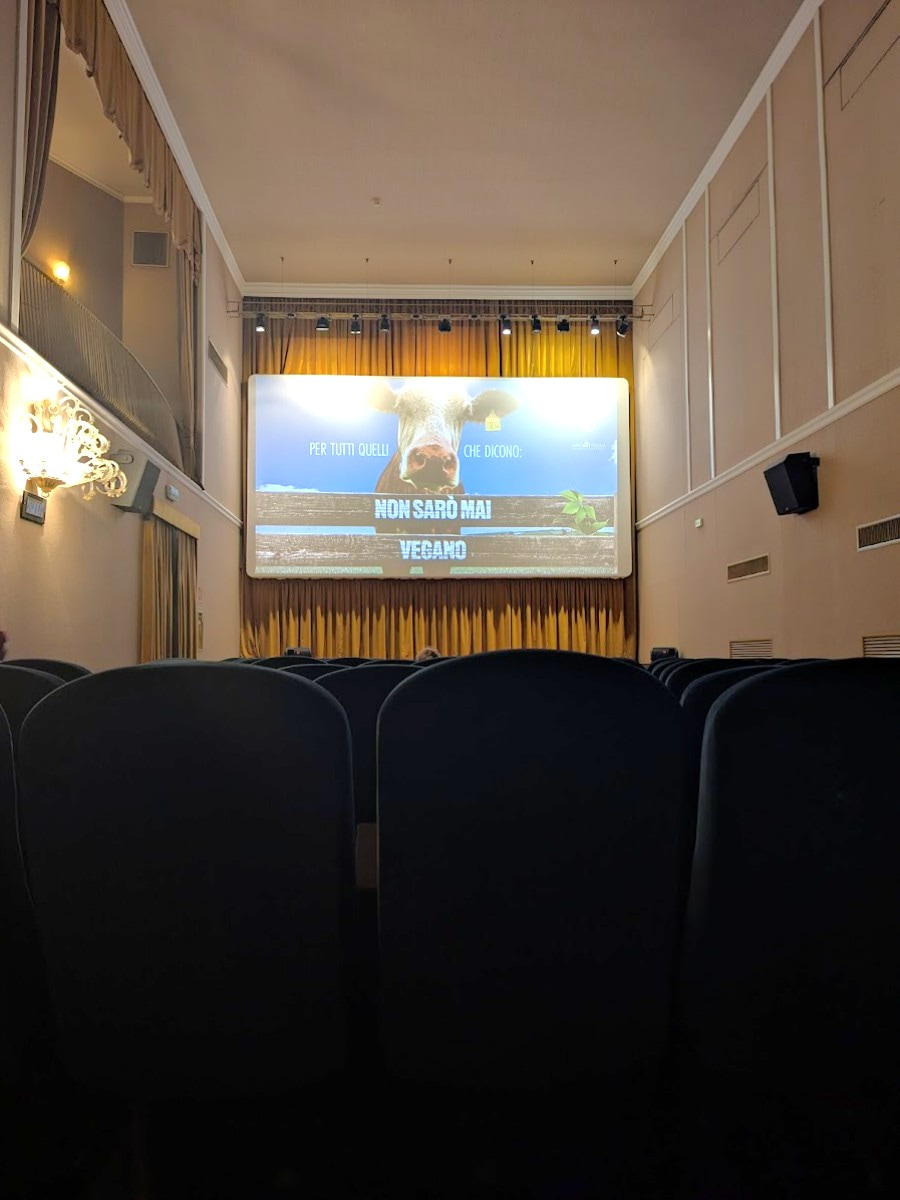 Cinema Multisala, Lecce Cinema Multisala, Lecce