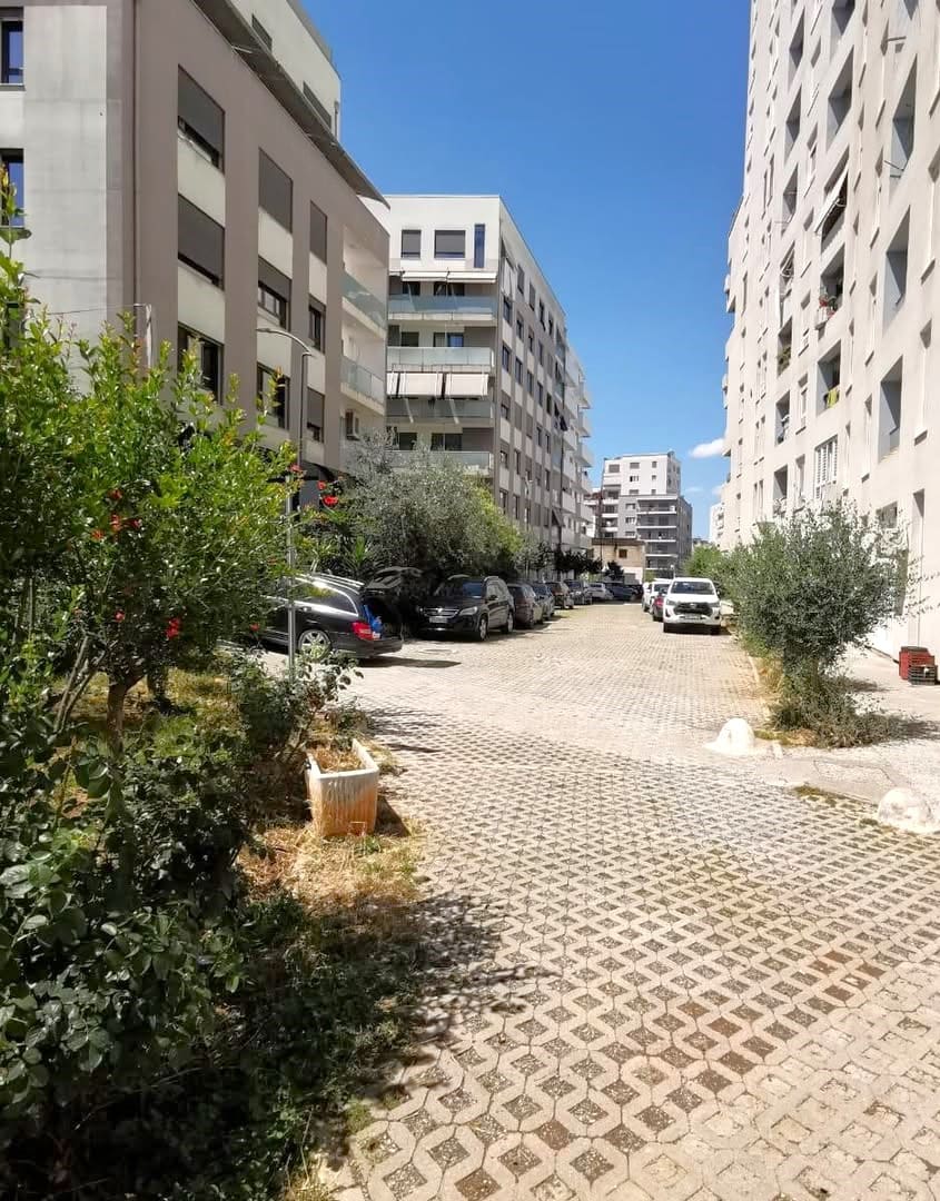 Dhjetori, Tirana Dhjetori, Tirana