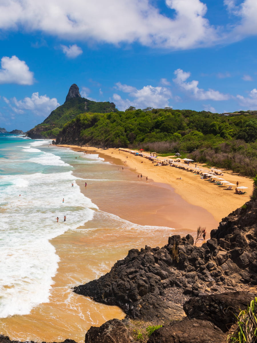 Floresta Nova, Fernando de Noronha Floresta Nova, Fernando de Noronha