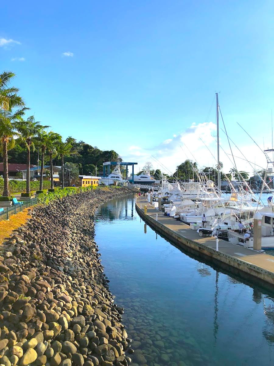 Marina Pez Vela, Manuel Antonio Marina Pez Vela, Manuel Antonio