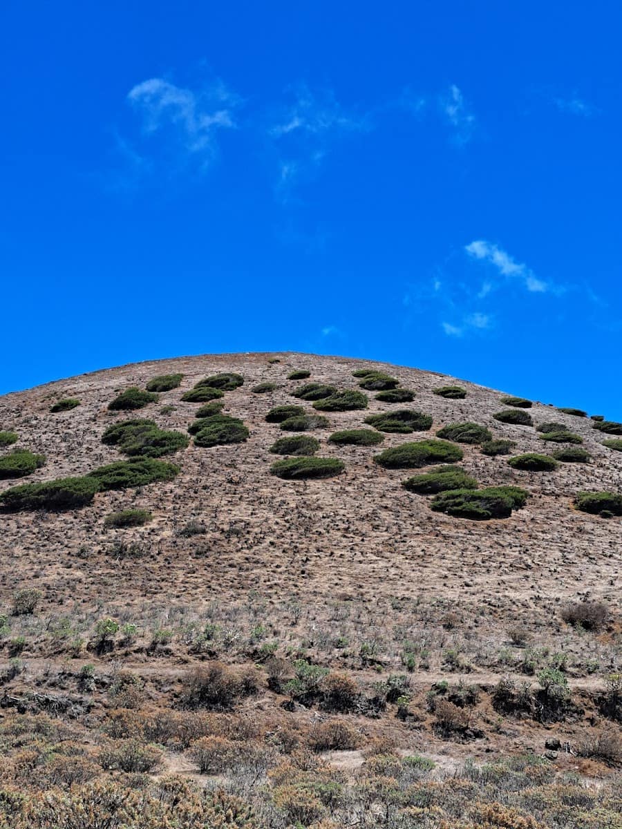 Mirador de Sabinosa, El Hierro Mirador de Sabinosa, El Hierro