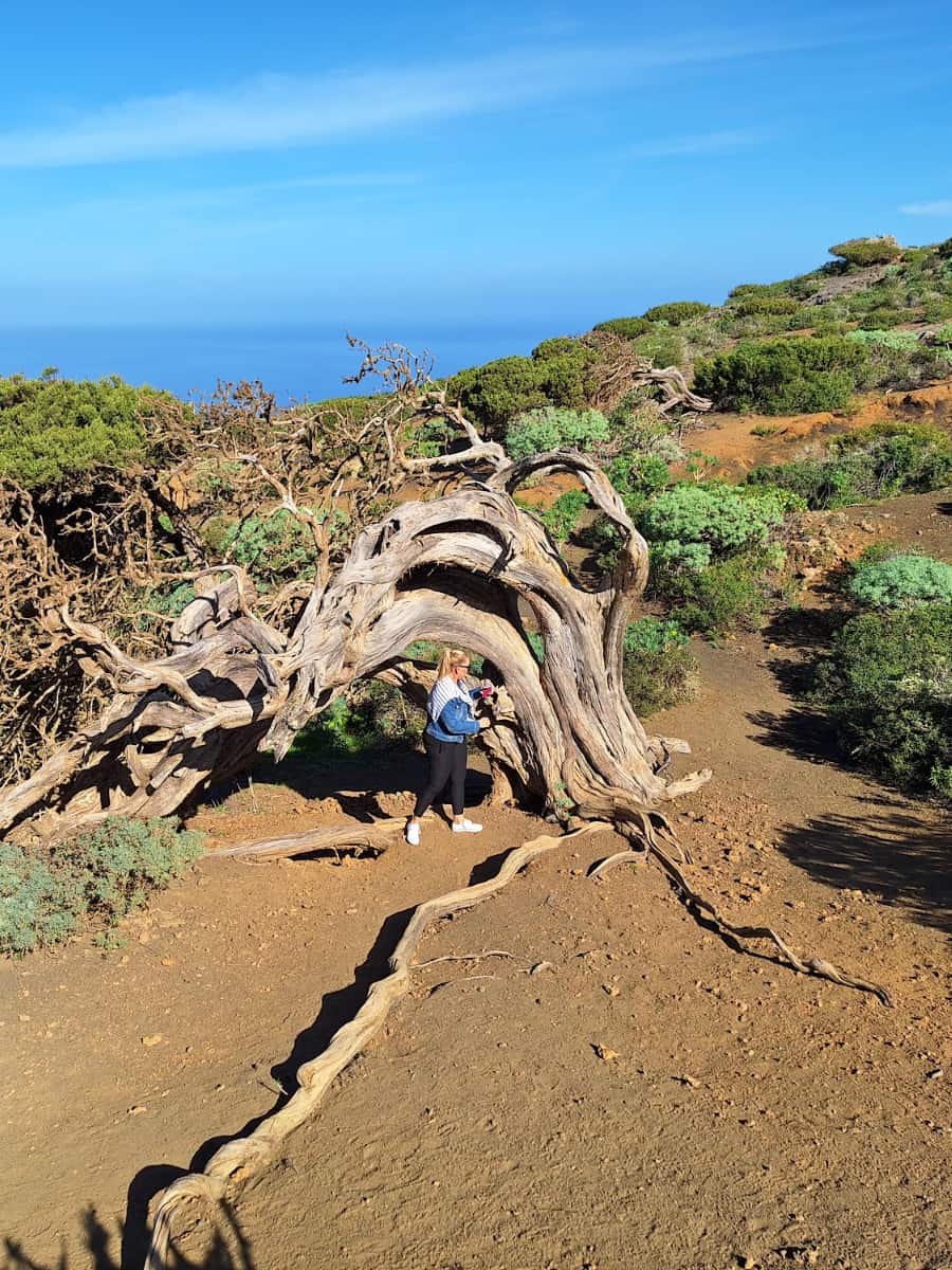 Mirador de Sabinosa, El Hierro Mirador de Sabinosa, El Hierro
