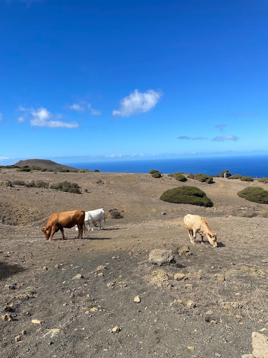Mirador de Sabinosa, El Hierro Mirador de Sabinosa, El Hierro