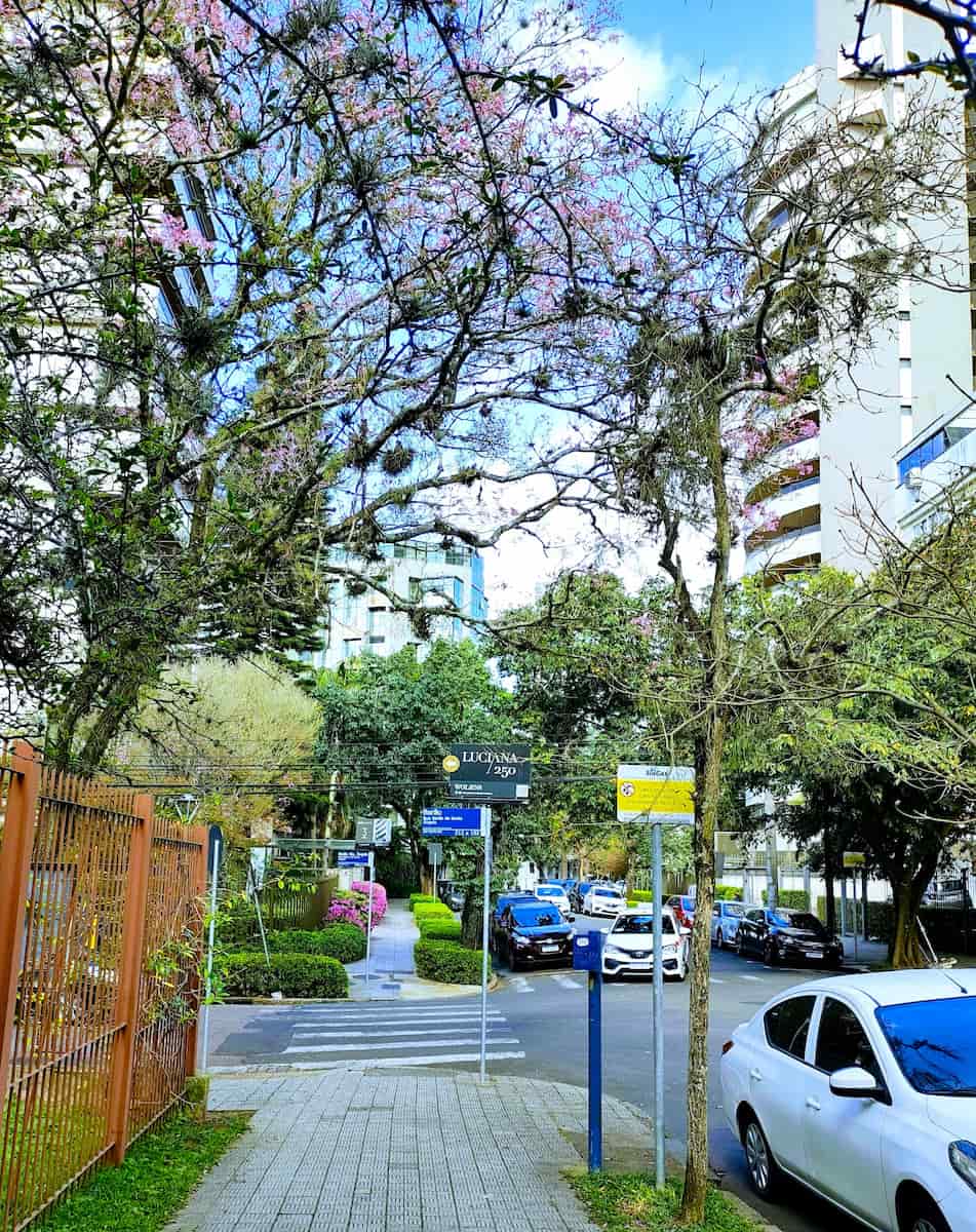 Moinhos de Vento, Brazil Moinhos de Vento, Brazil