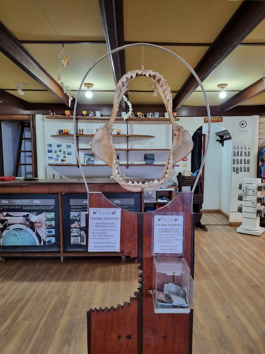 Museu do Tubarão, Fernando de Noronha Museu do Tubarao Fernando de Noronha 3 1