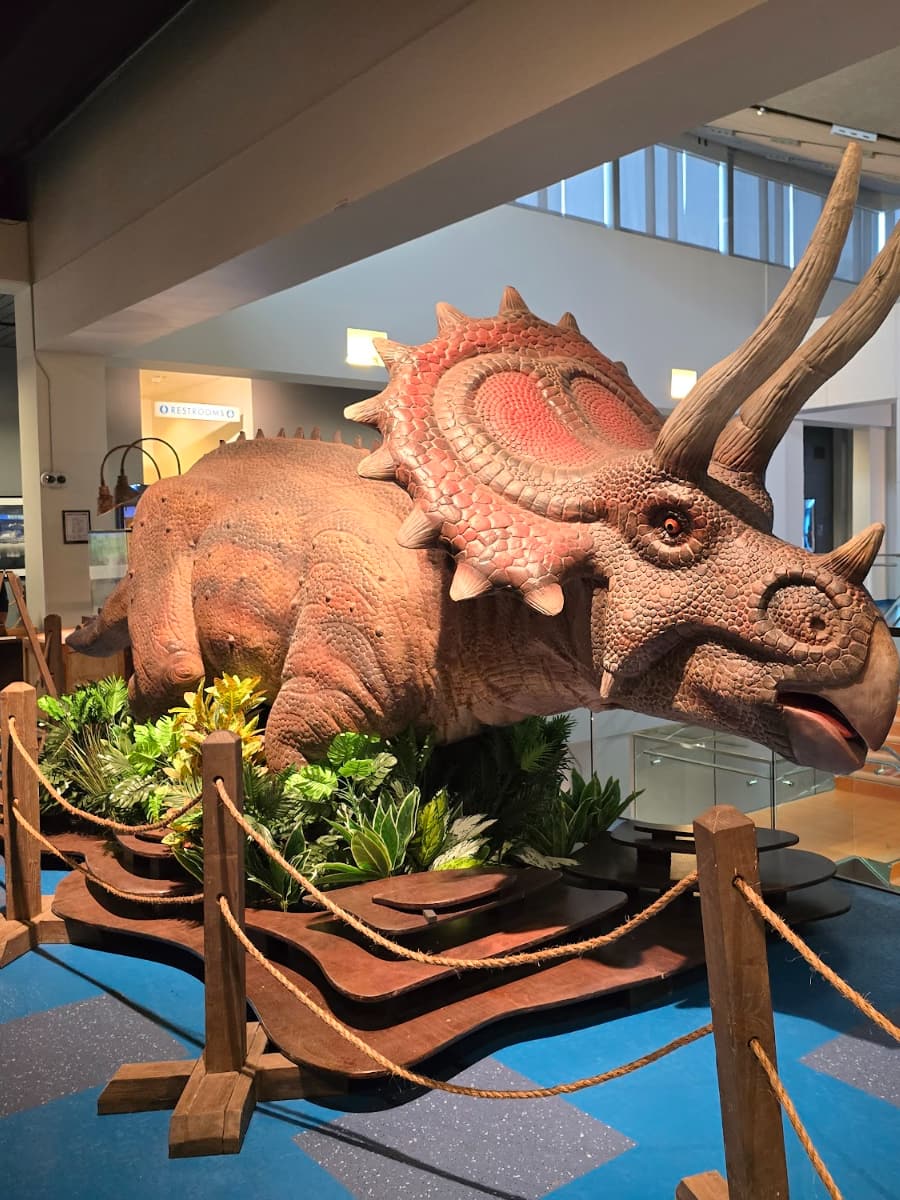 Museum of Discovery and Science, Fort Lauderdale Museum of Discovery and Science, Fort Lauderdale