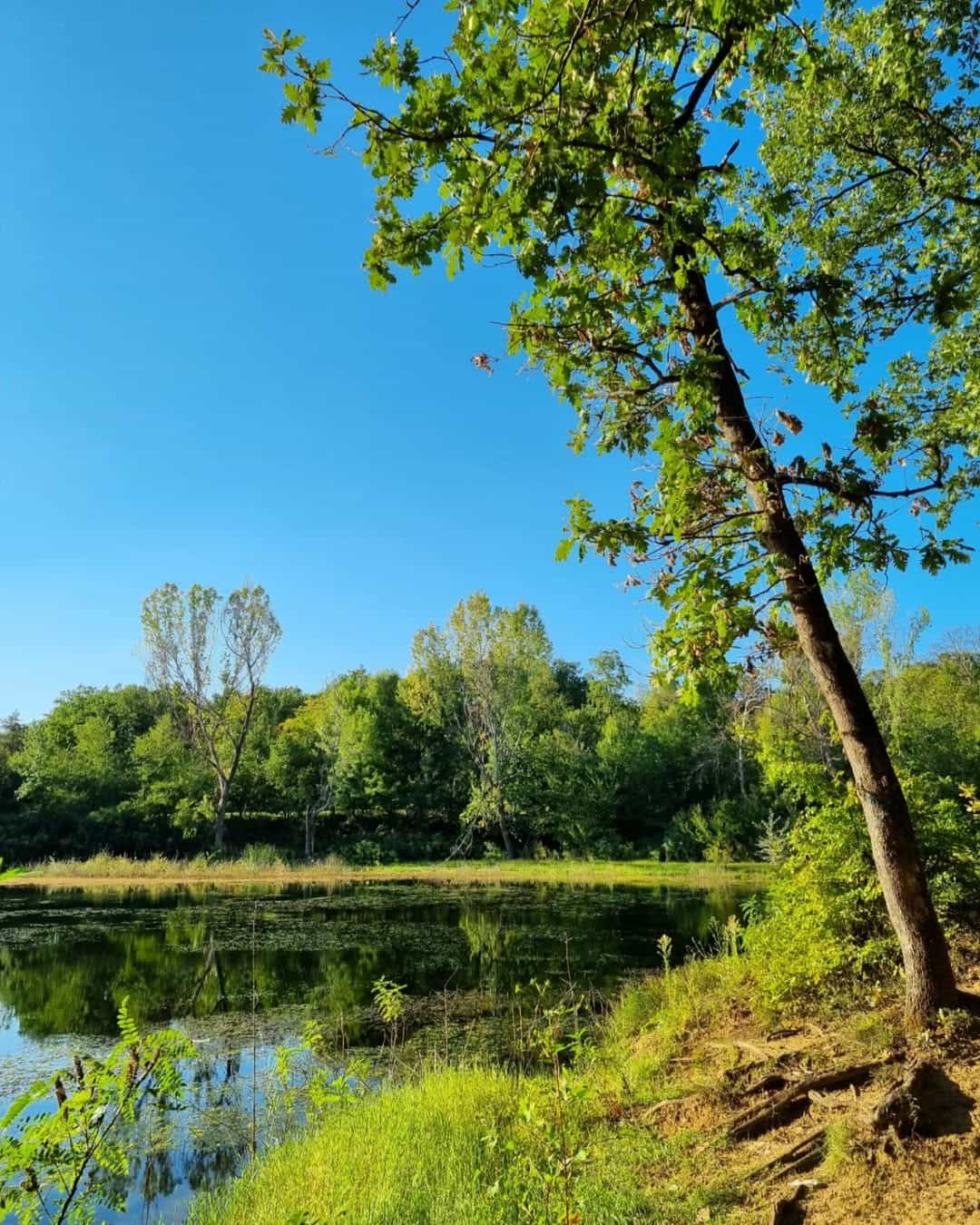 Near Tirana Lake, Tirana Near Tirana Lake, Tirana