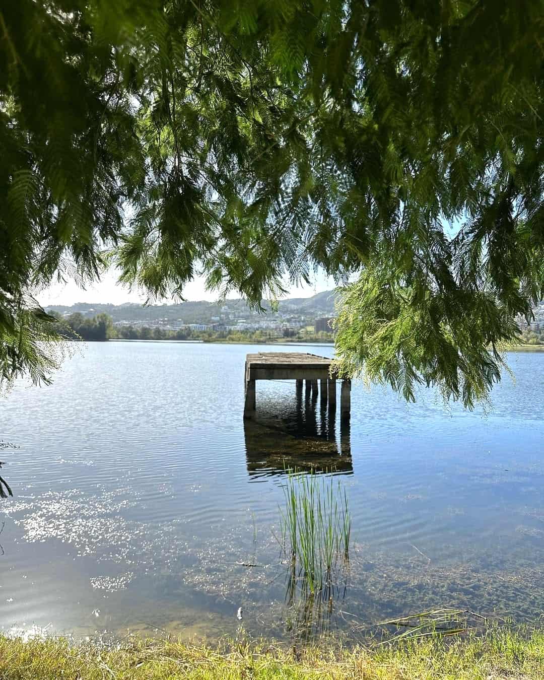 Near Tirana Lake, Tirana Near Tirana Lake, Tirana