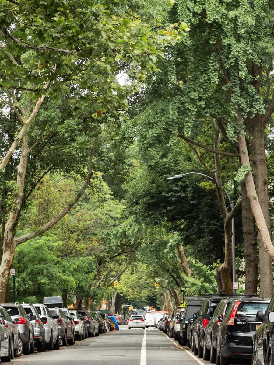 Park Slope, Brooklyn Park Slope, Brooklyn