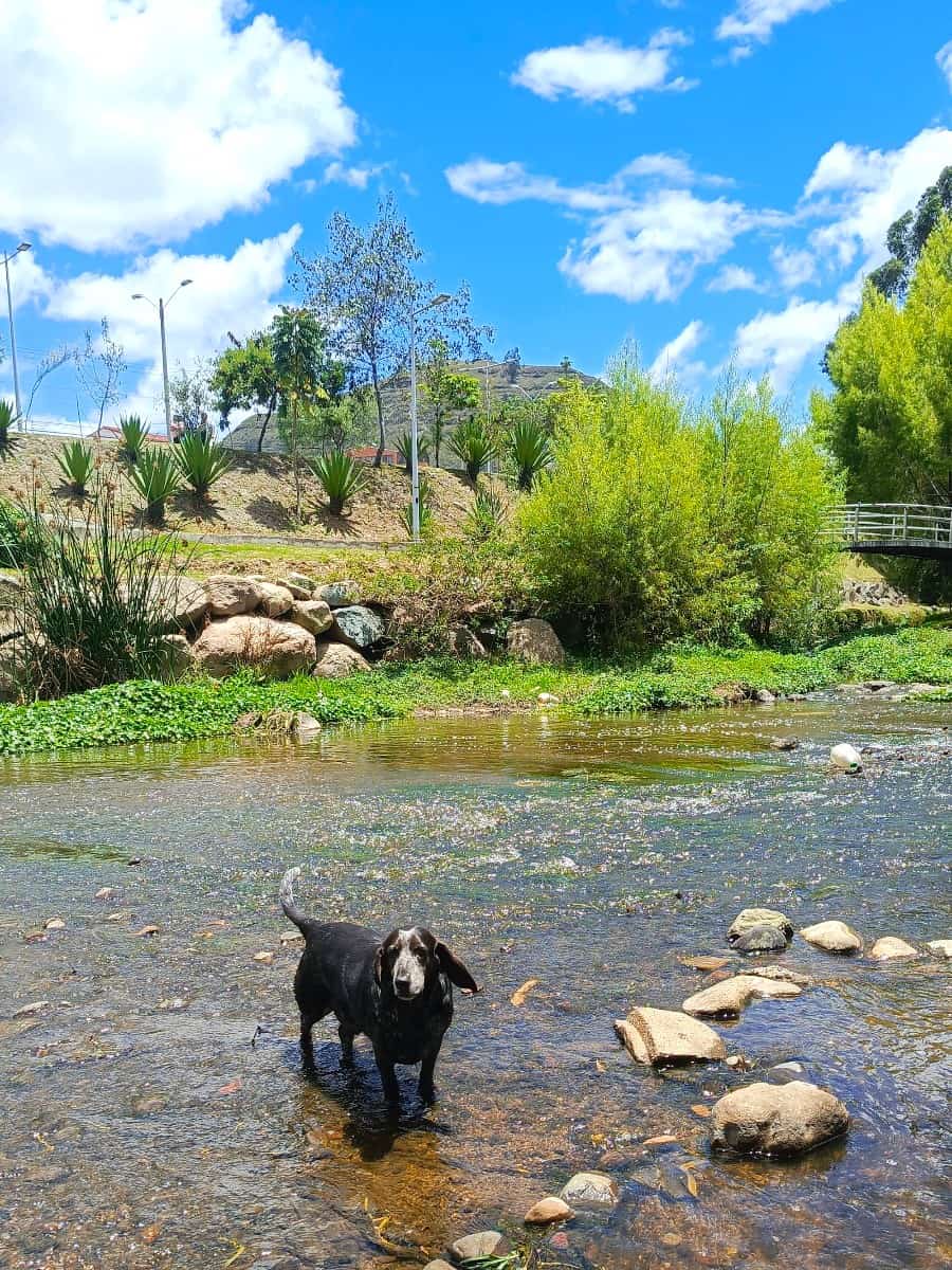 Parque Guzho, Cuenca, Ecuador Parque Guzho, Cuenca, Ecuador
