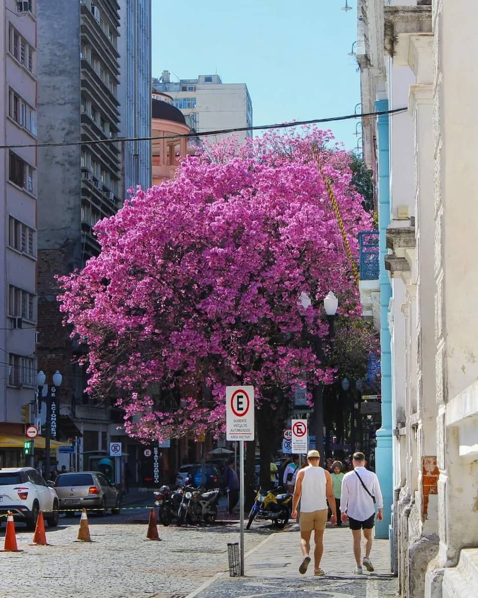 Rua Dos Andradas, Brazil Rua Dos Andradas, Brazil