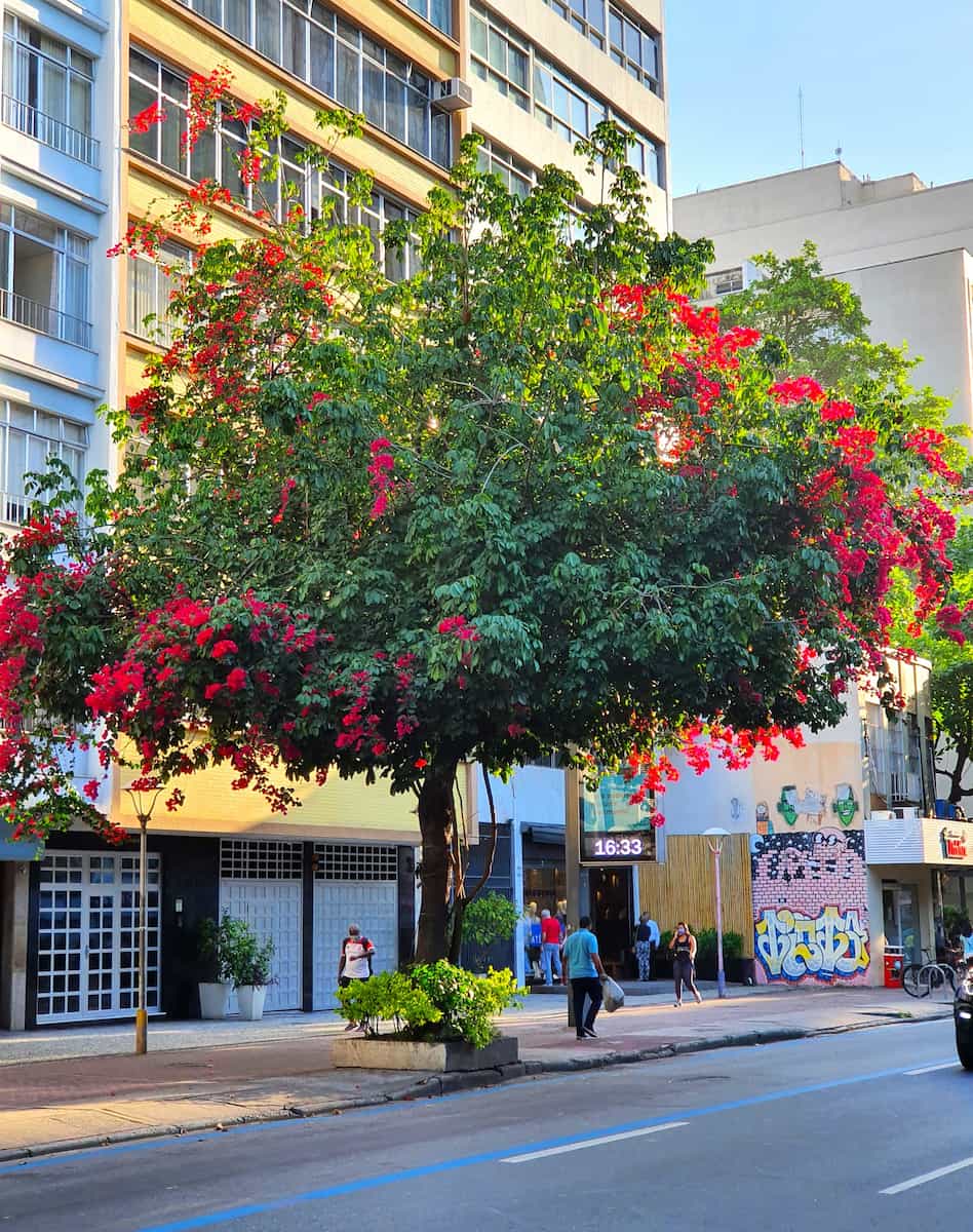 Rua Visconde de Pirajá, Ipanema Rua Visconde de Pirajá, Ipanema