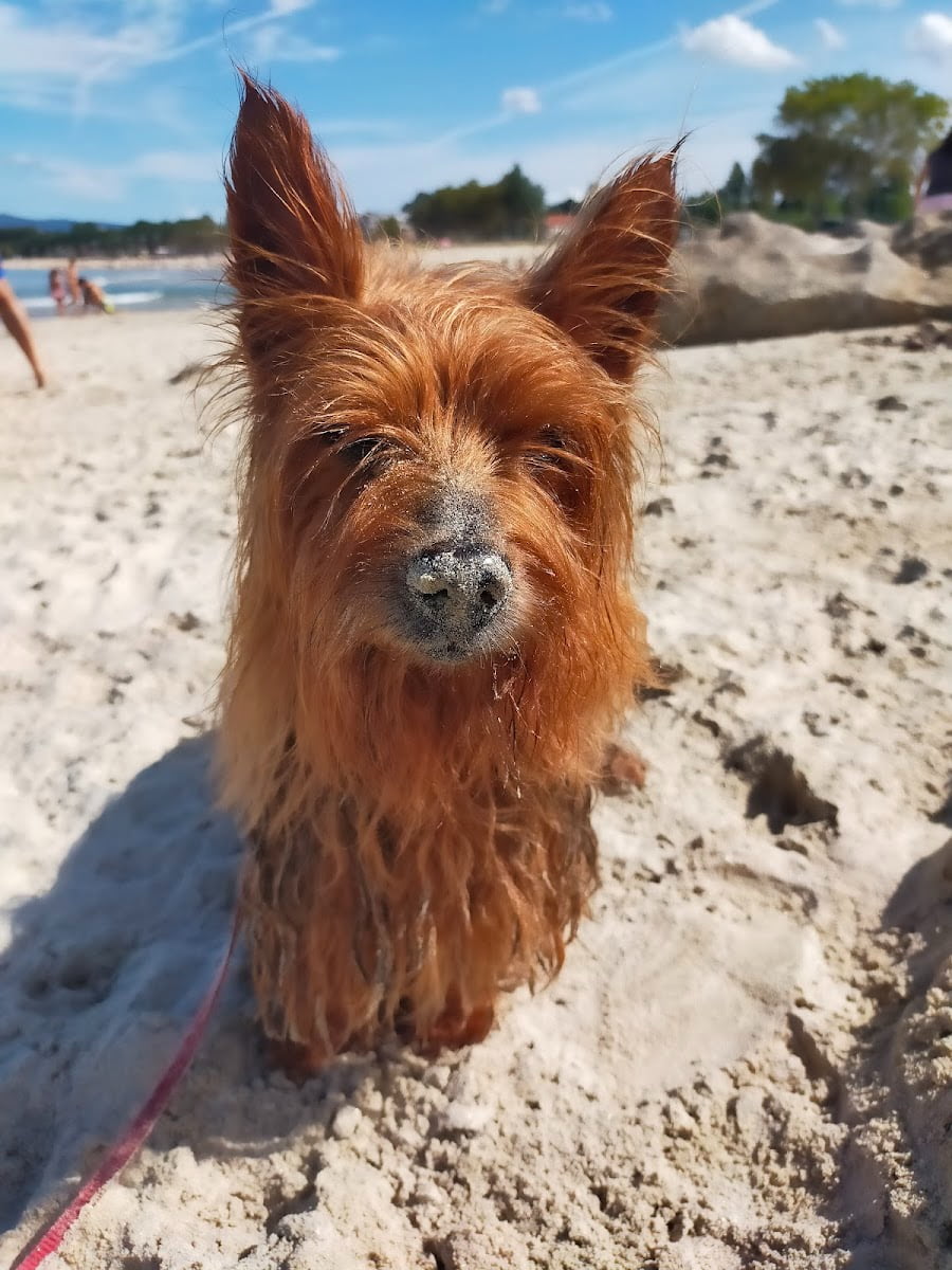 Samil Beach, Vigo, Spain Samil Beach, Vigo, Spain