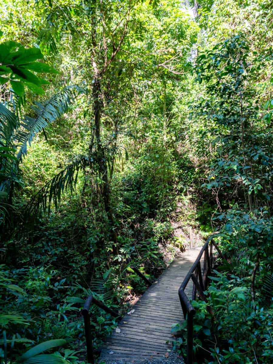 The Cathedral Point, Manuel Antonio The Cathedral Point, Manuel Antonio