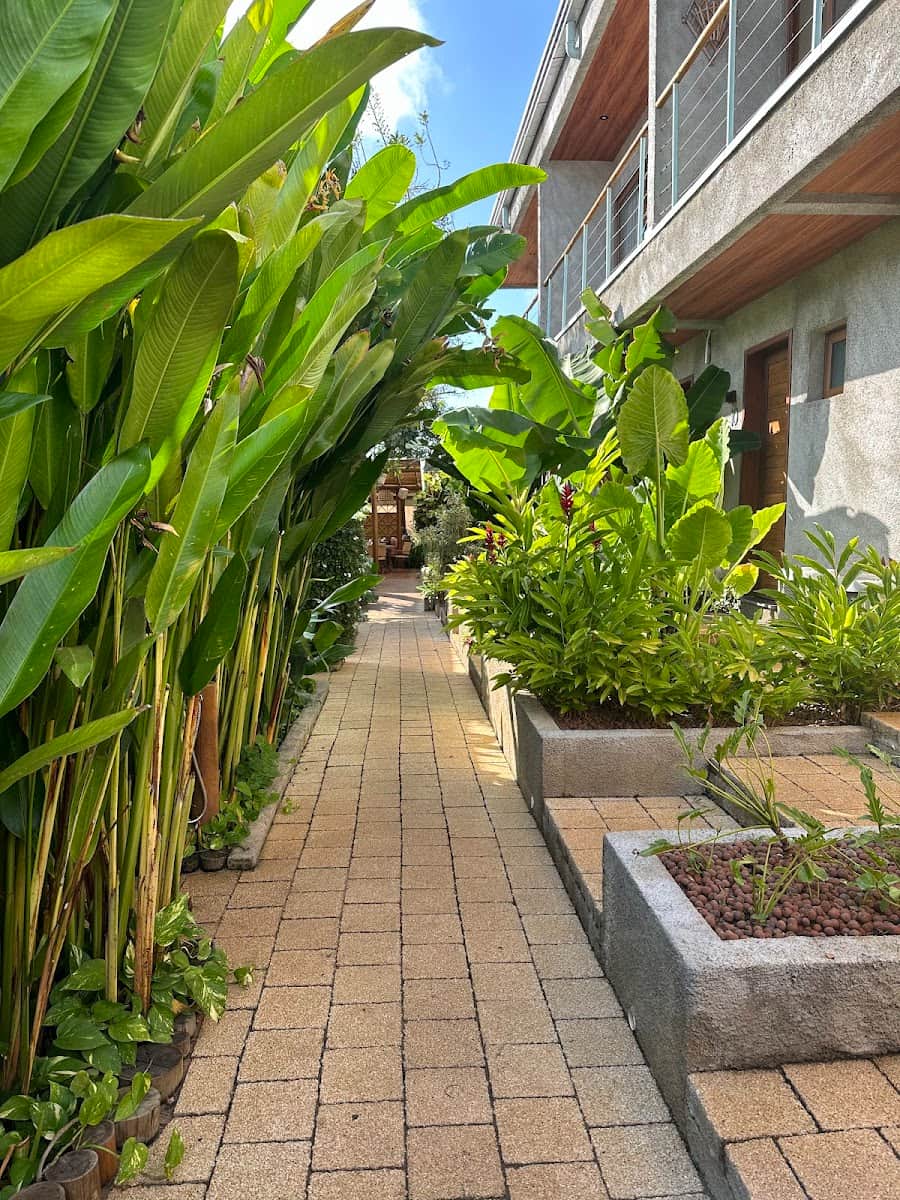 Vila Sal Noronha, Fernando de Noronha Vila Sal Noronha, Fernando de Noronha