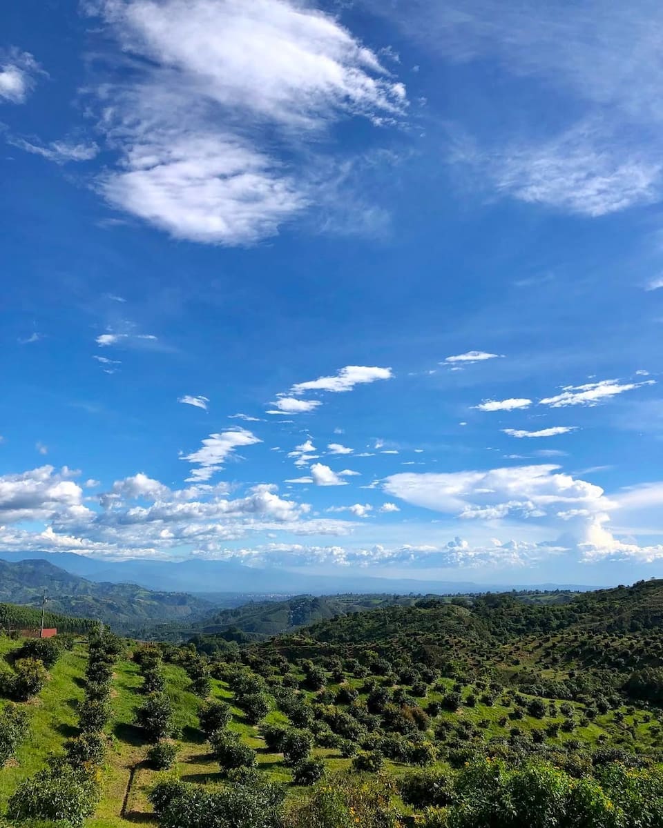 Boquía, Salento Boquía, Salento