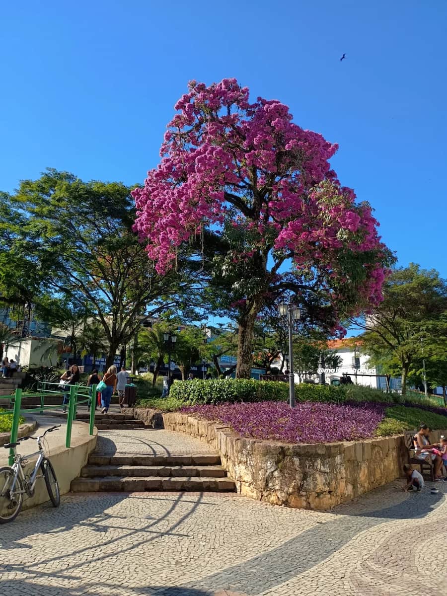Centro, Angra dos Reis Centro Angra dos Reis7